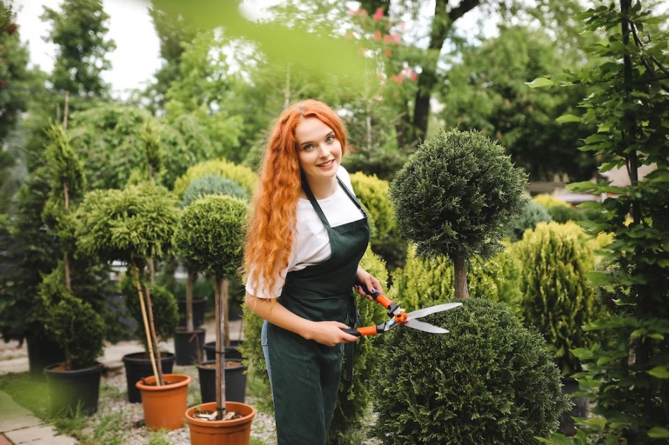 Hobi bahçesi oluşturmak için dikkat edilmesi gereken 8 Madde